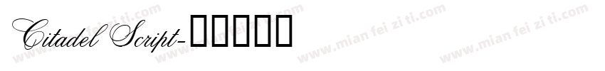 Citadel Script字体转换